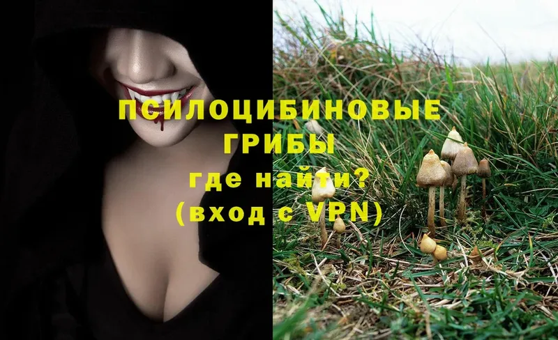 Псилоцибиновые грибы Magic Shrooms  что такое   Белозерск 